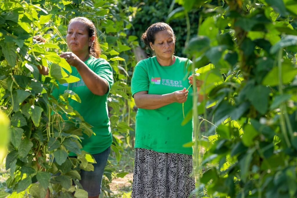 Dos mujeres cuidan un jardín al aire libre.