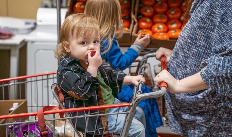 Children riding in a shopping cart in a grocery store.